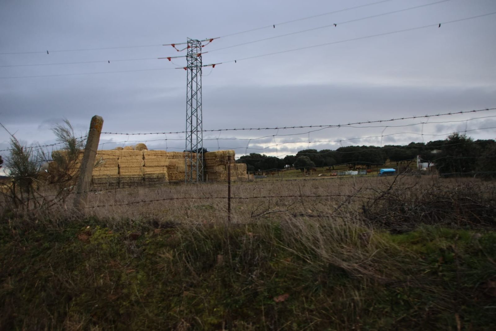 imagen-de-whatsapp-2025-02-07-a-las-10-06-30-0a847539