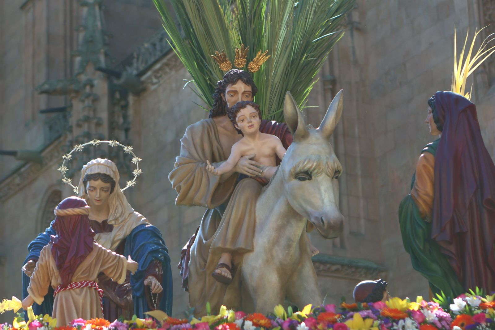 Procesión de la Borriquilla en Salamanca