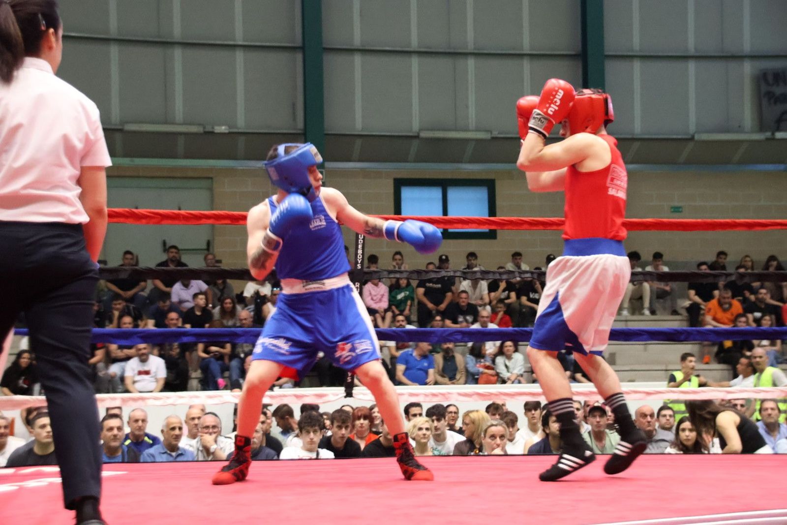 20240413200144-img-8669