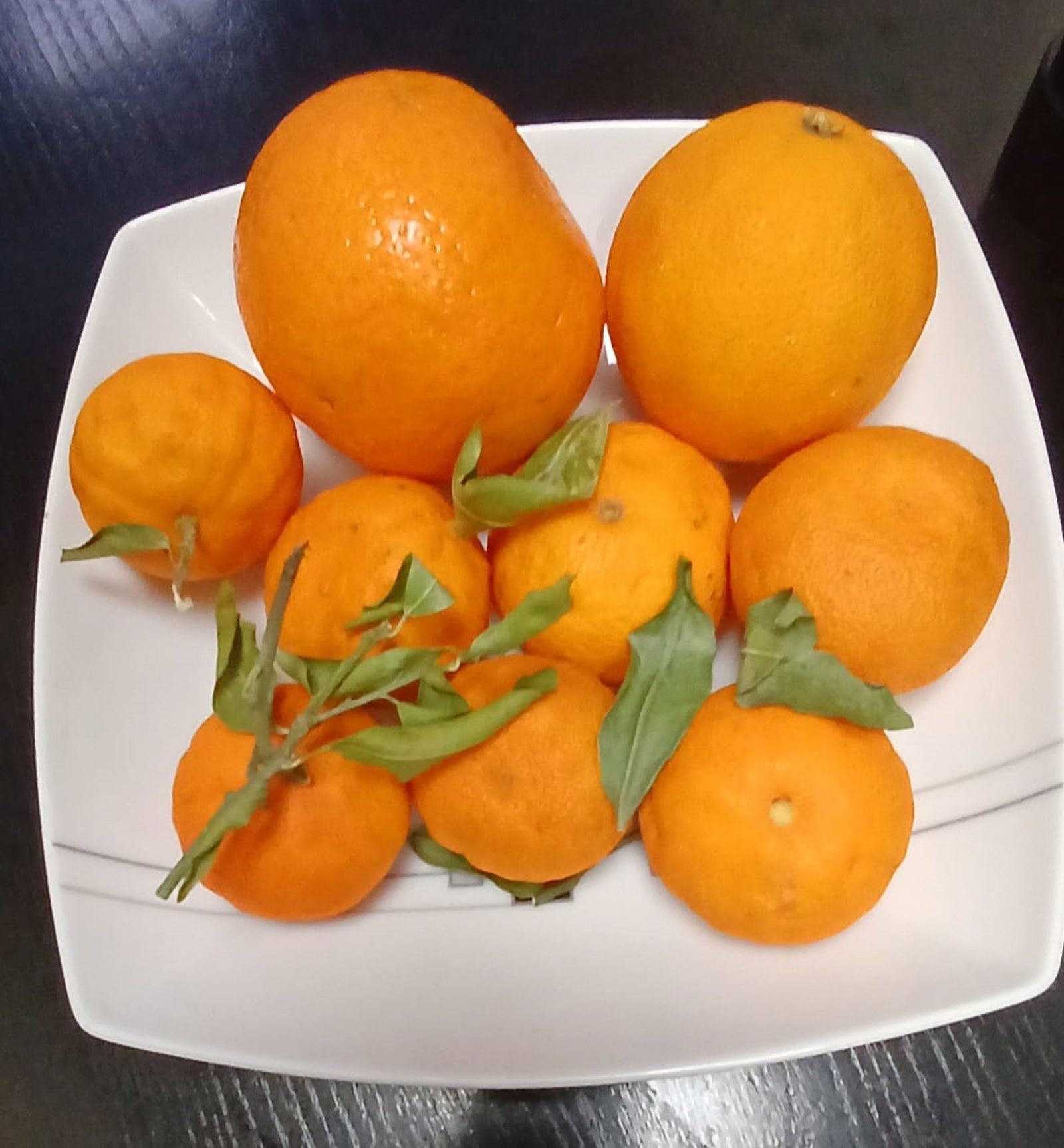 Archivo - Naranjas - EUROPA PRESS - Archivo