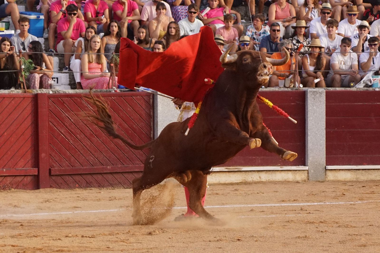 Novillada mixta en picadores en Guijuelo, 17 de agosto