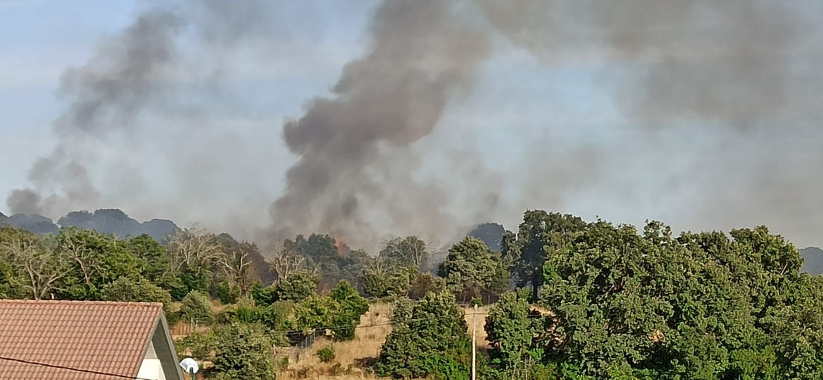 WhatsApp Image 2020 07 16 at 20.41.28