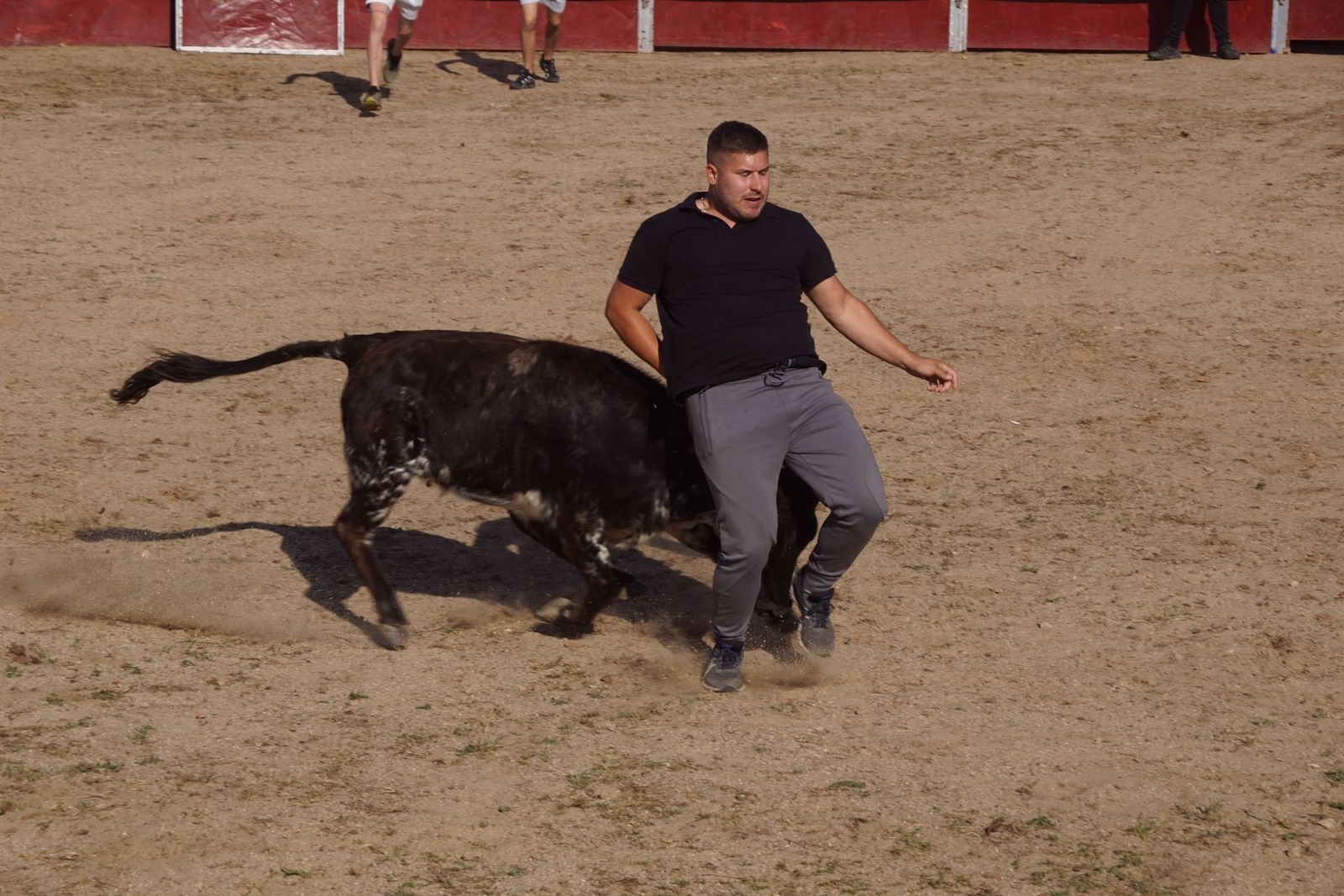 capea-fiestas-de-carrascal-de-barregas-8