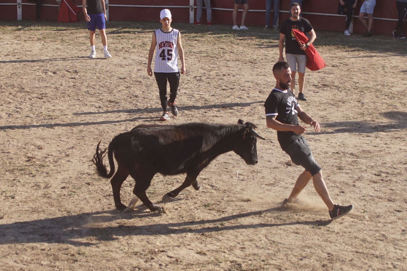 capea-fiestas-de-carrascal-de-barregas-42