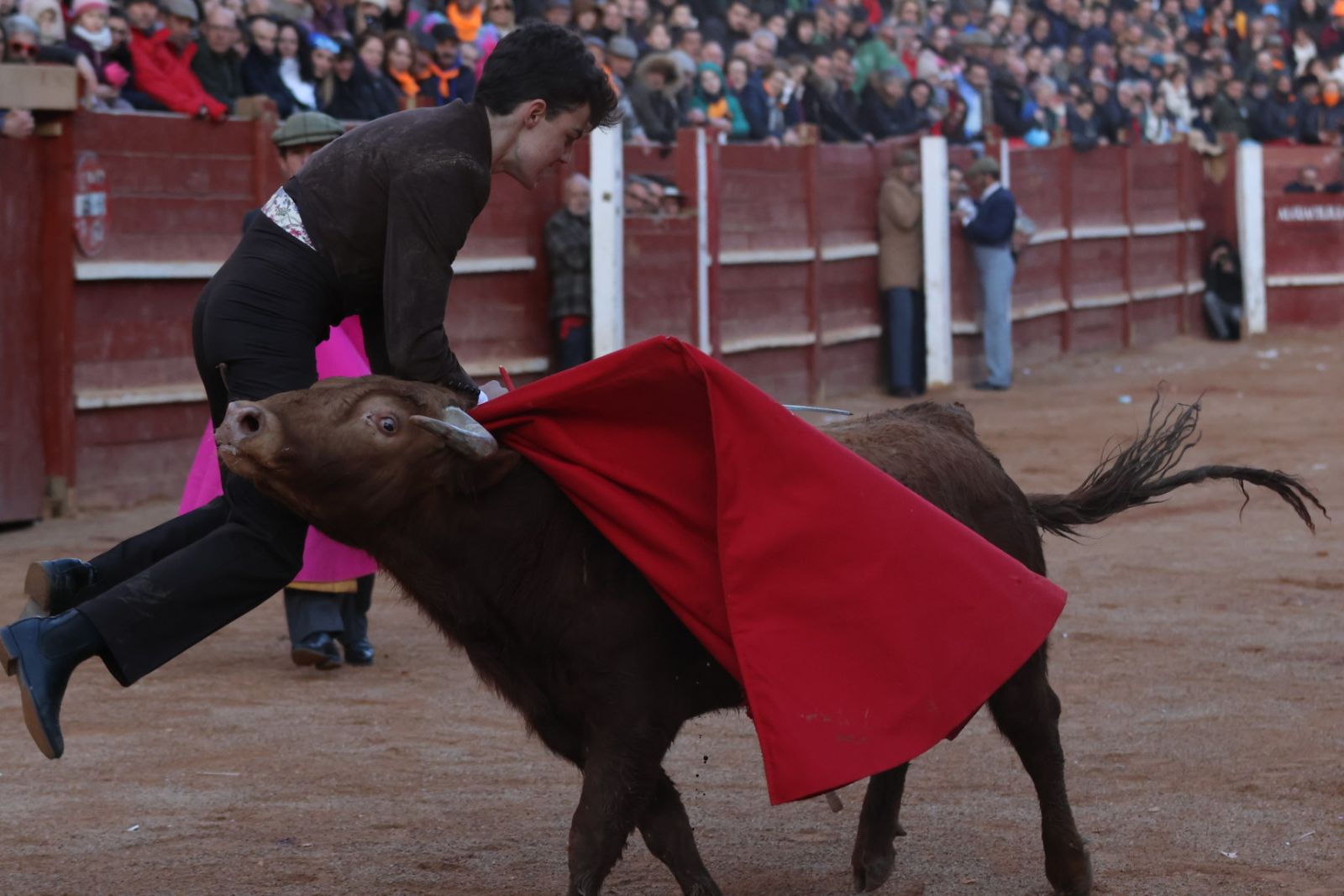 Festival taurino del Sábado en el Carnaval del Toro 2026 de Ciudad Rodrigo