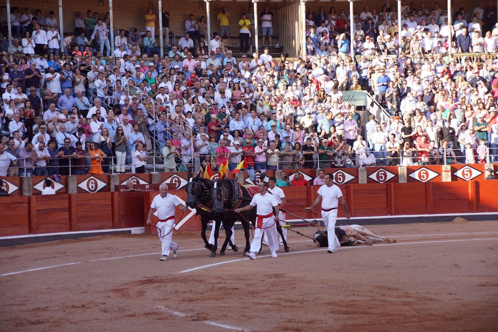 whatsapp-image-2022-09-16-at-8-01-50-pm