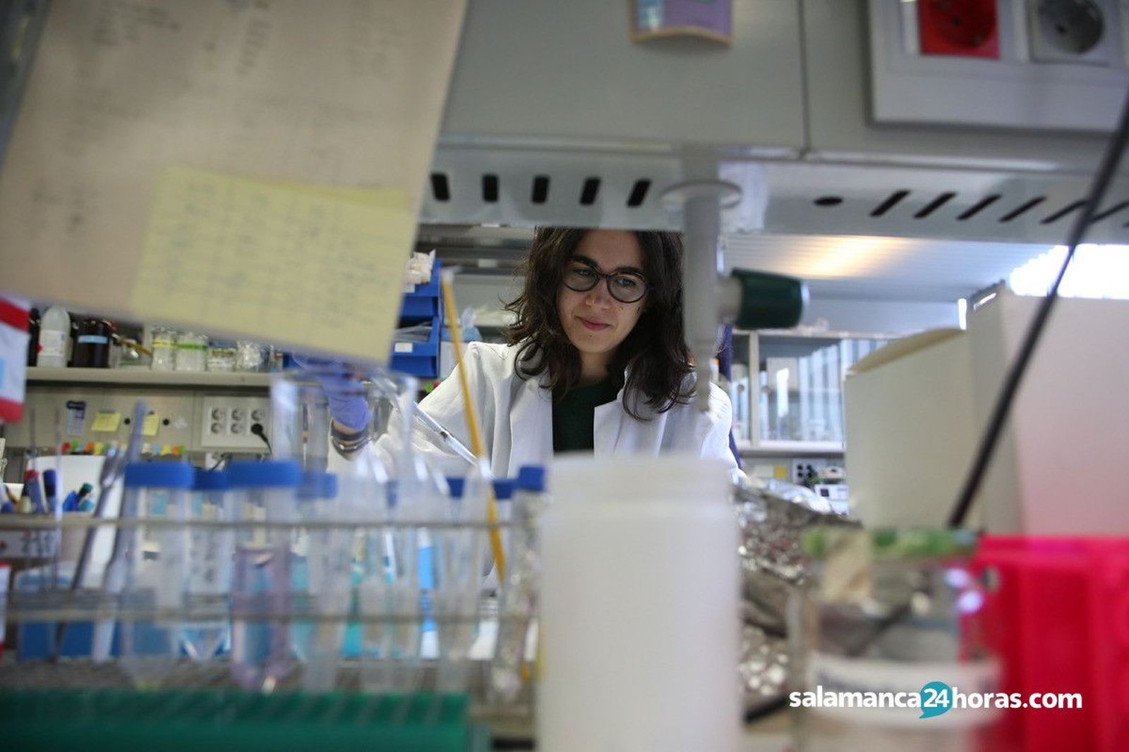 Sara Gutiérrez, investigadora del Incyl