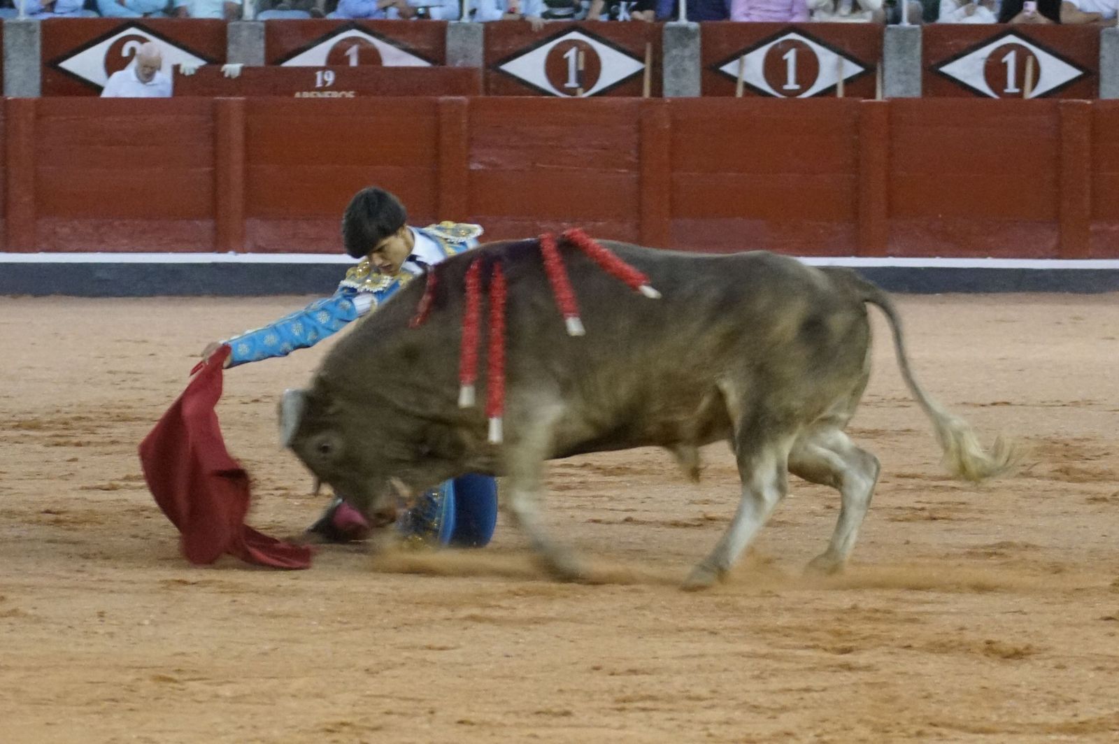 Clase práctica con alumnos de la Escuela de Tauromaquia de Salamanca (Diego Mateos, Noel García y Álvaro Rojo con erales de Esteban Isidro)