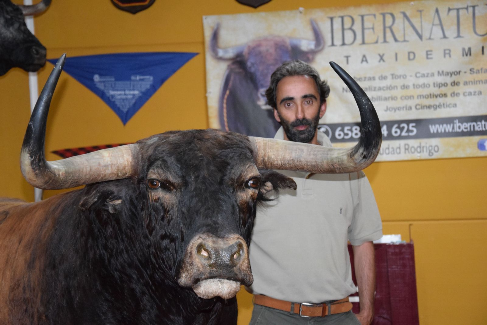 taxidermia-en-salamanca-21