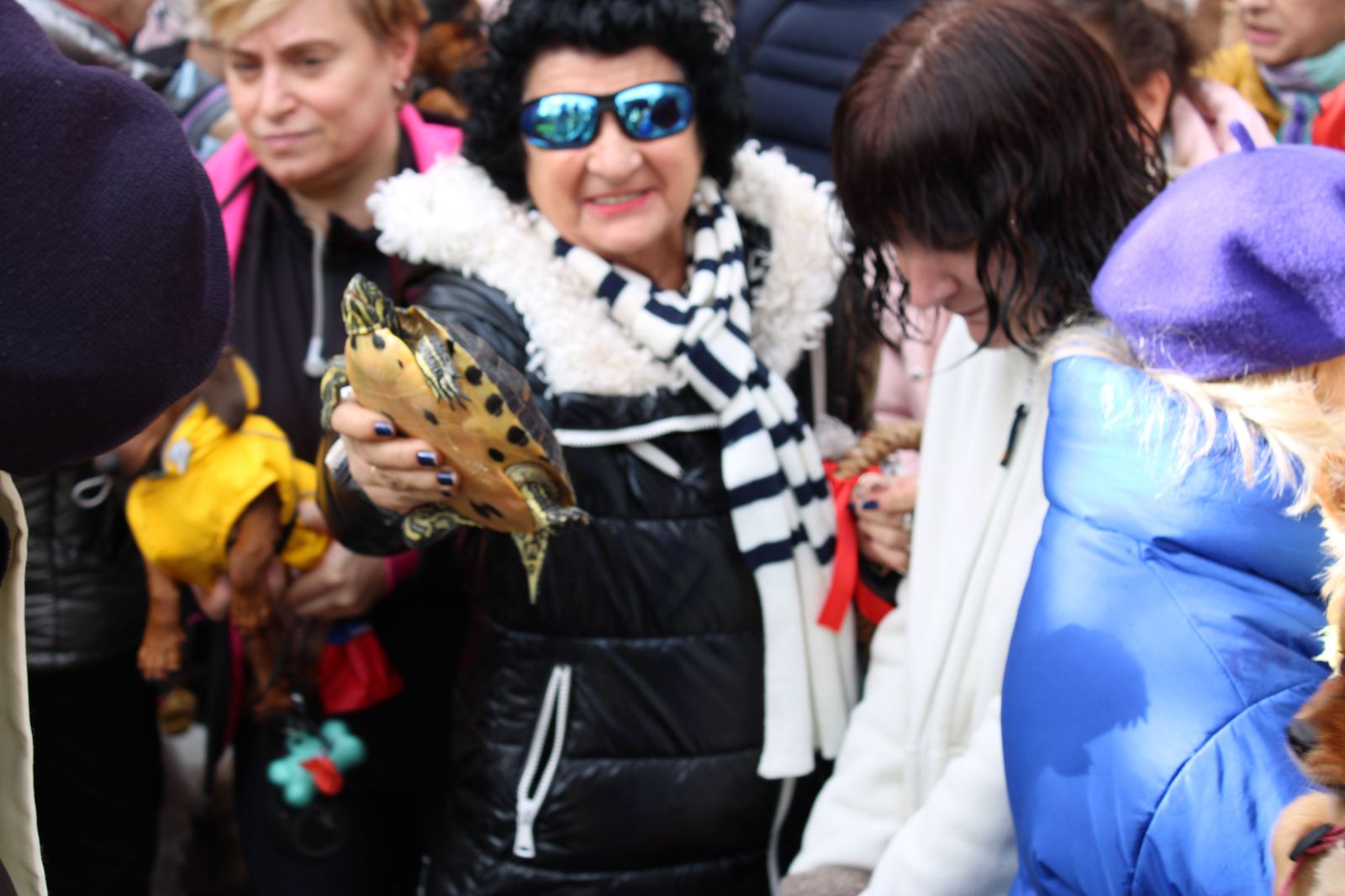 san-anton-bendicion-de-animales-2024-foto-s24h-77