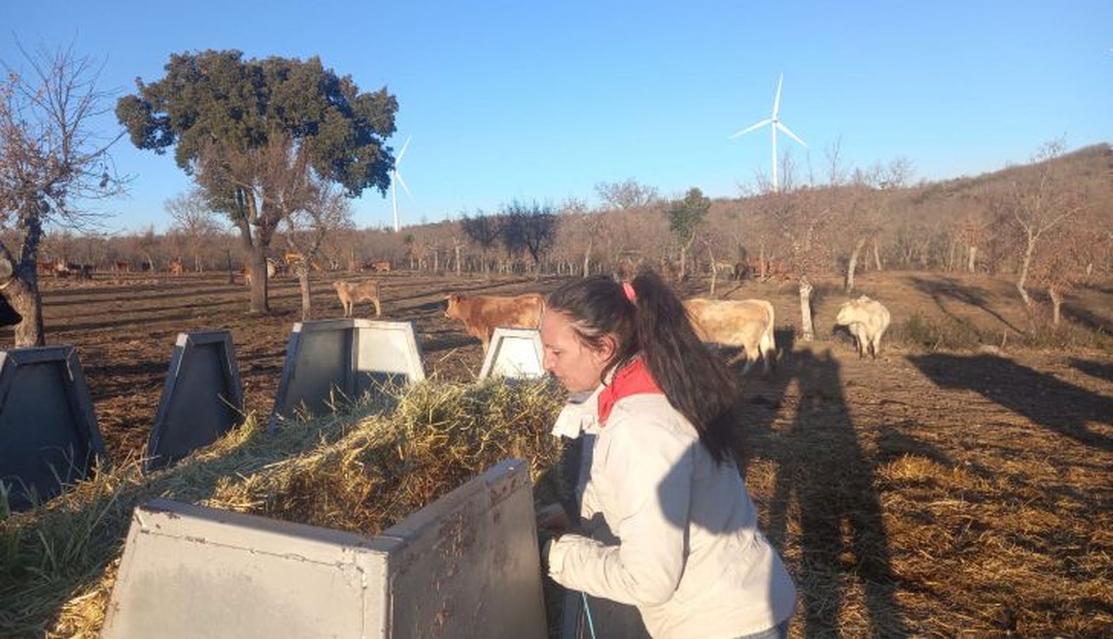 Lorena Mateos, agricultora y ganadera salmantina