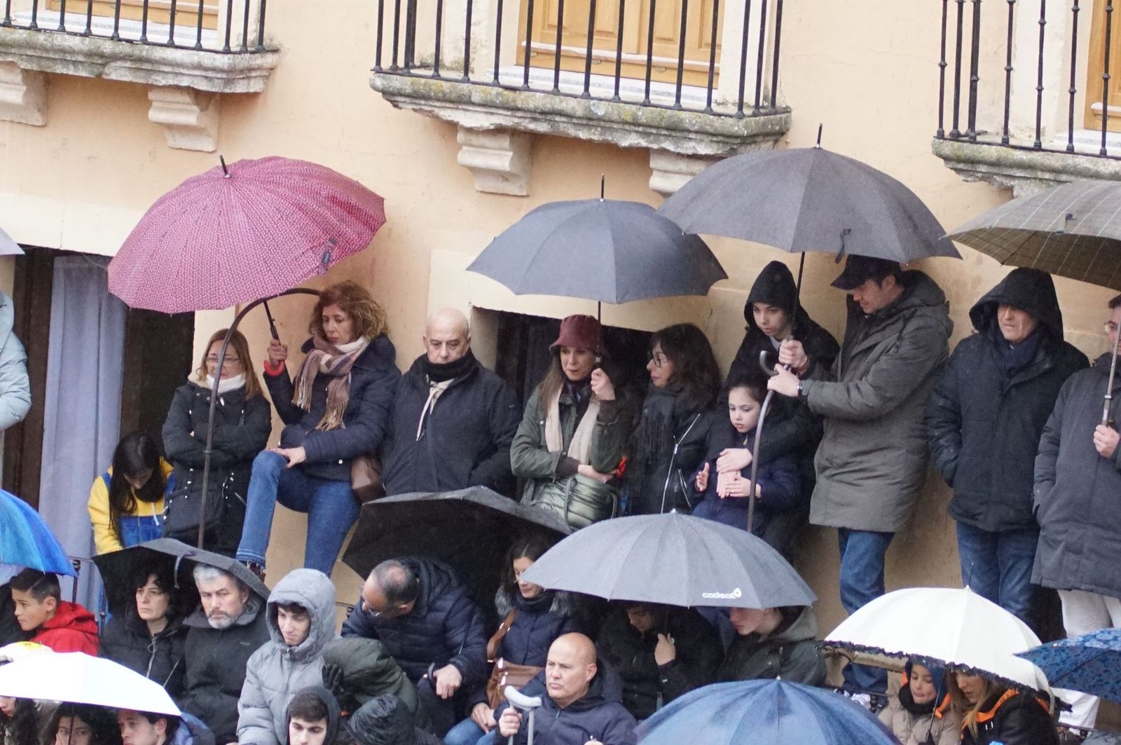 whatsapp-image-2025-03-03-at-14-50-01-2