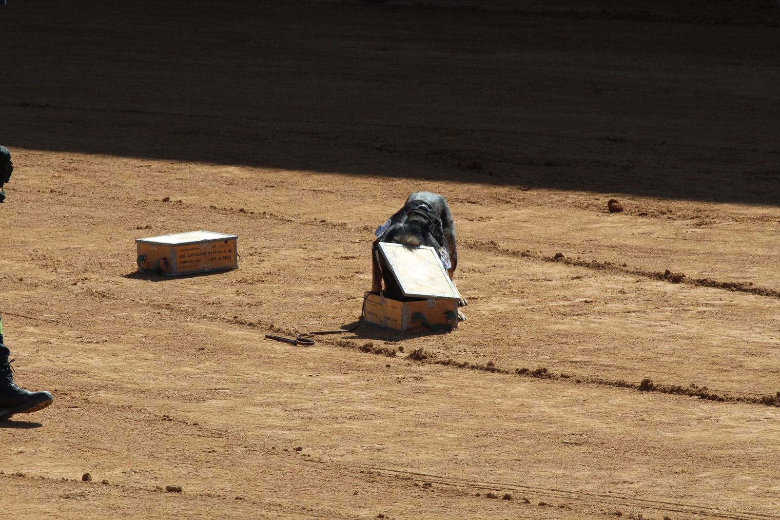 20230905123121-img-7979