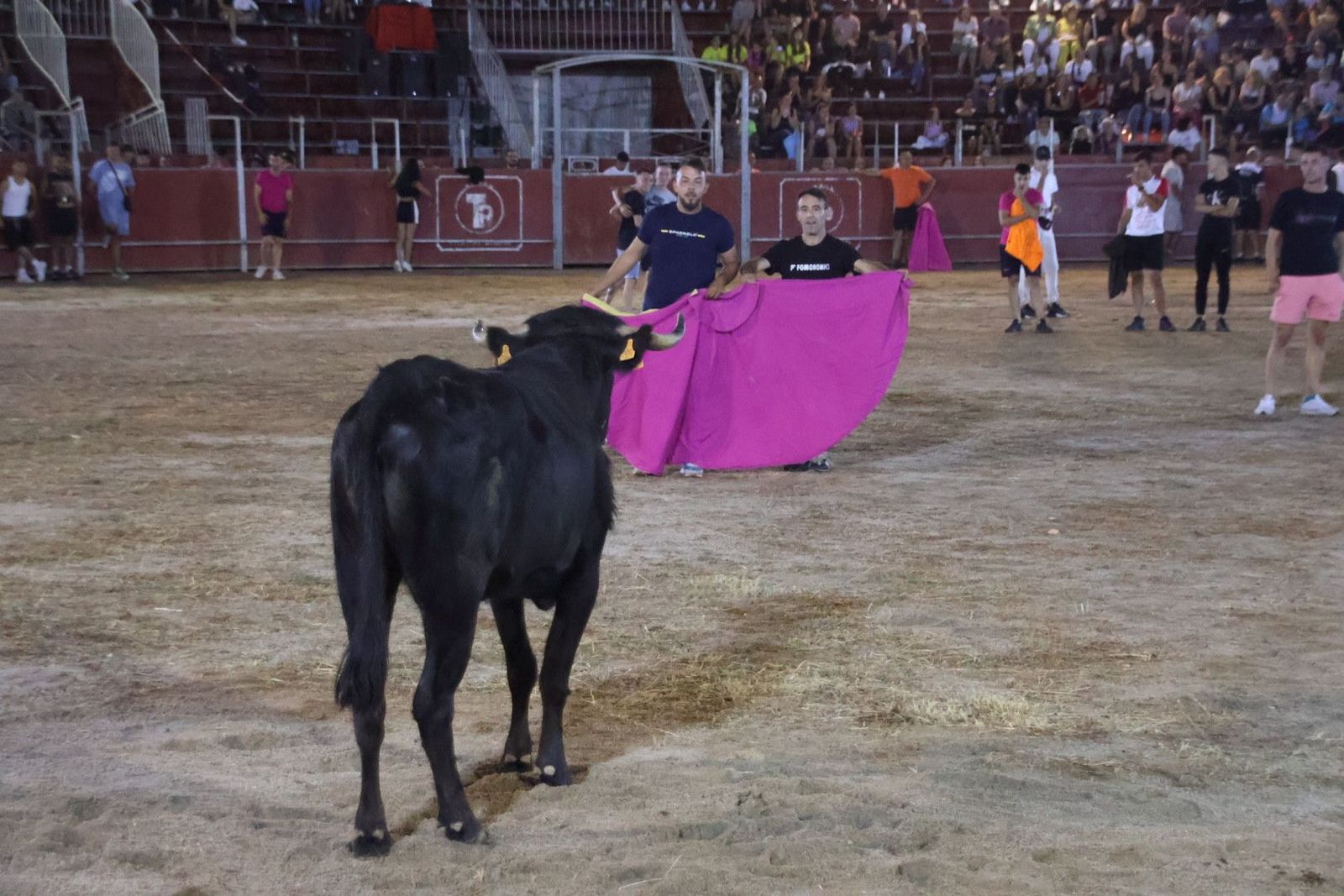 20240815212243-img-3723