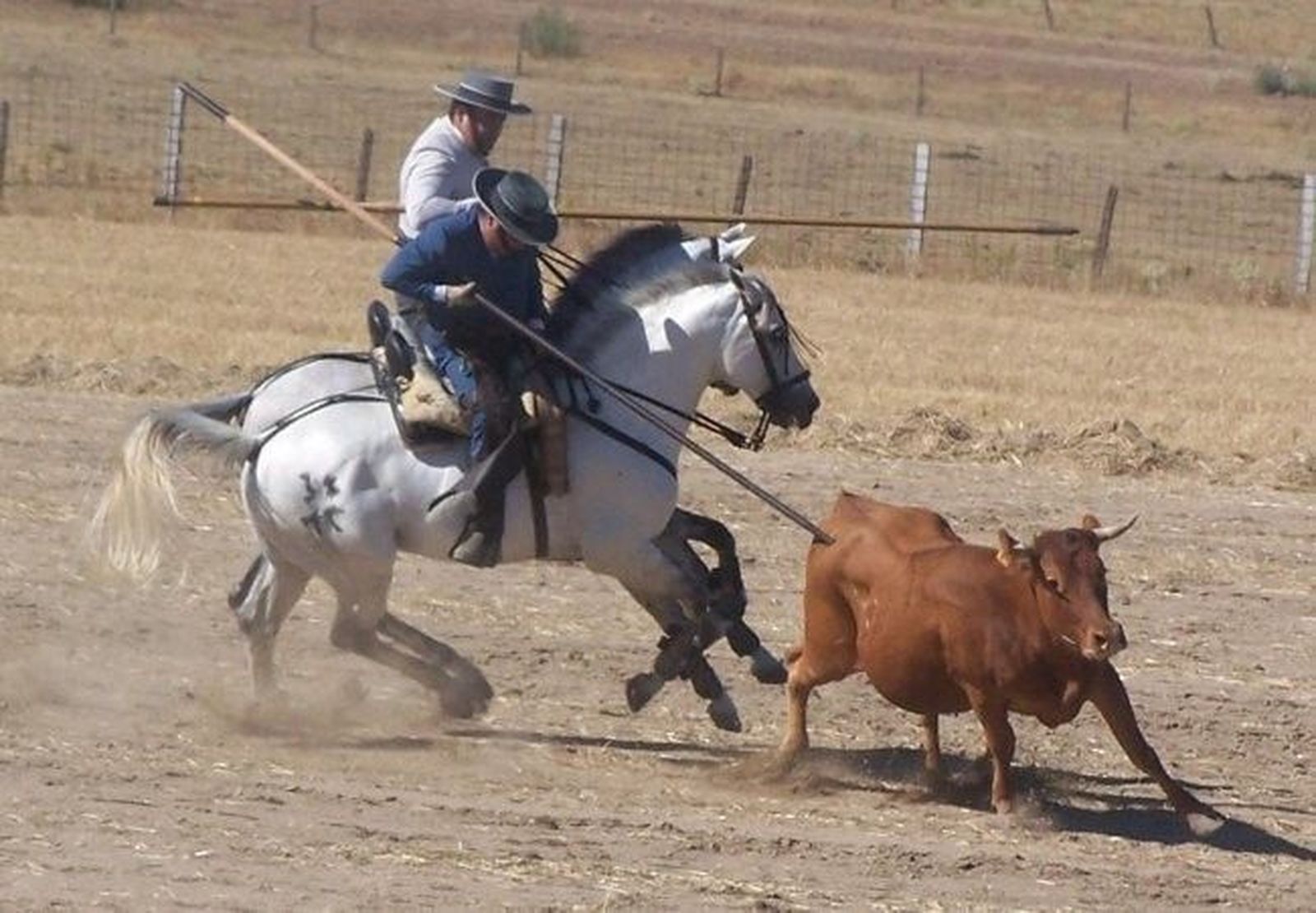 Concurso de Acoso y Derribo durante el fin de semana