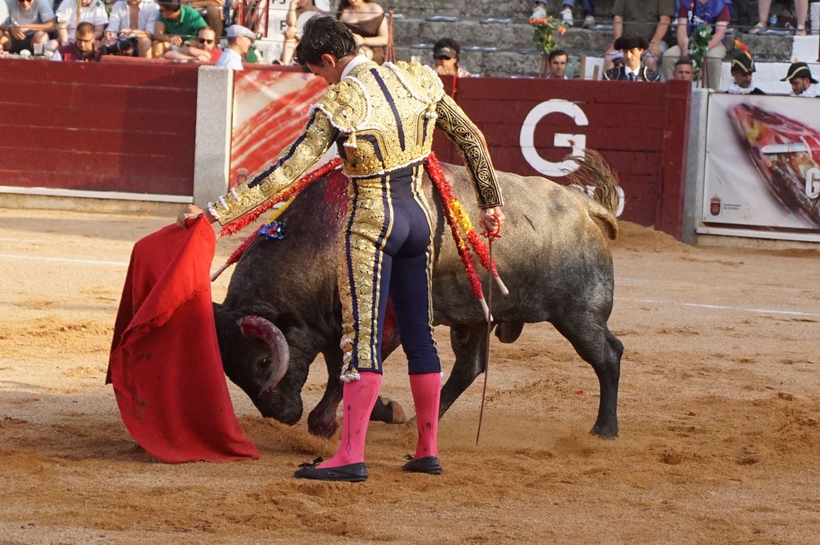 En imágenes la despedida de los ruedos de El Capea en Guijuelo