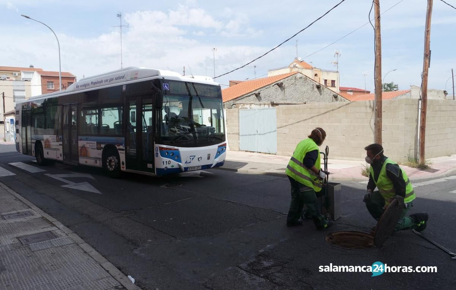 Control de plagas (18) 1200x763