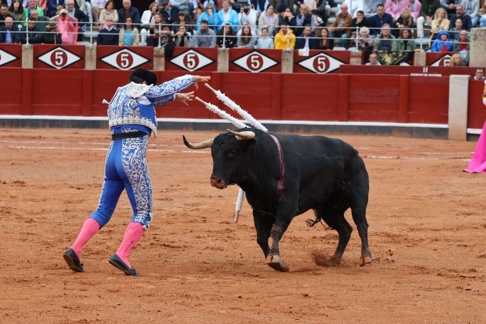 20230916181901-img-5475