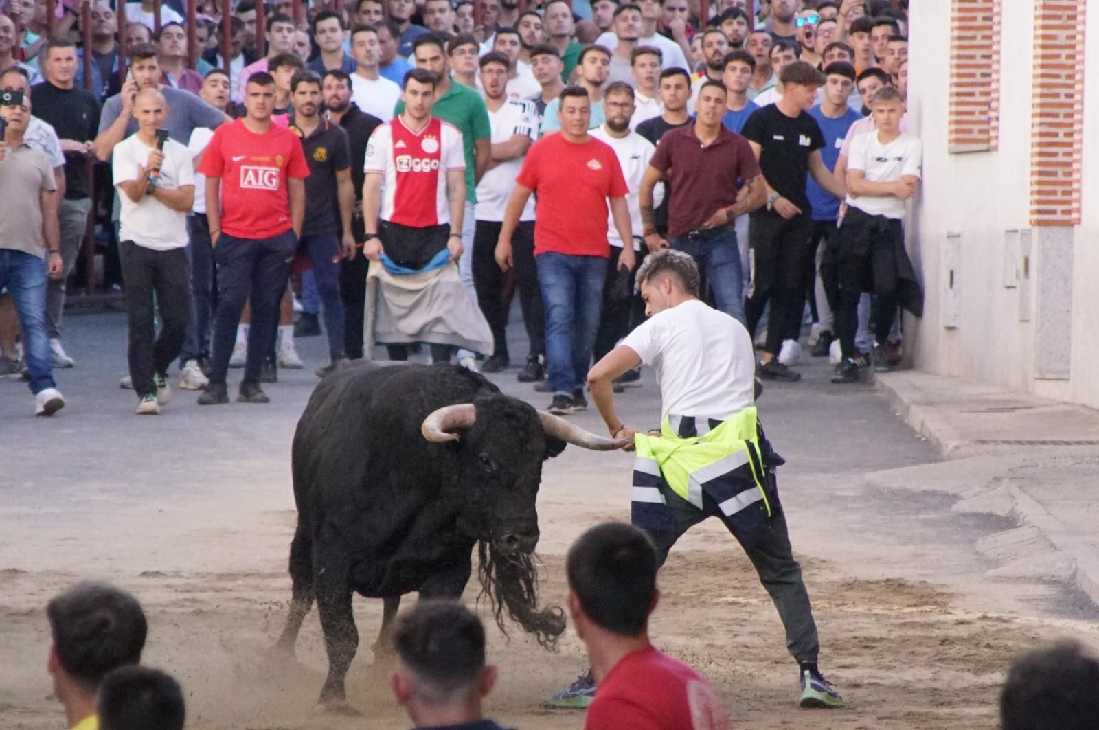 Toro del cajón y capea en Alba de Tormes