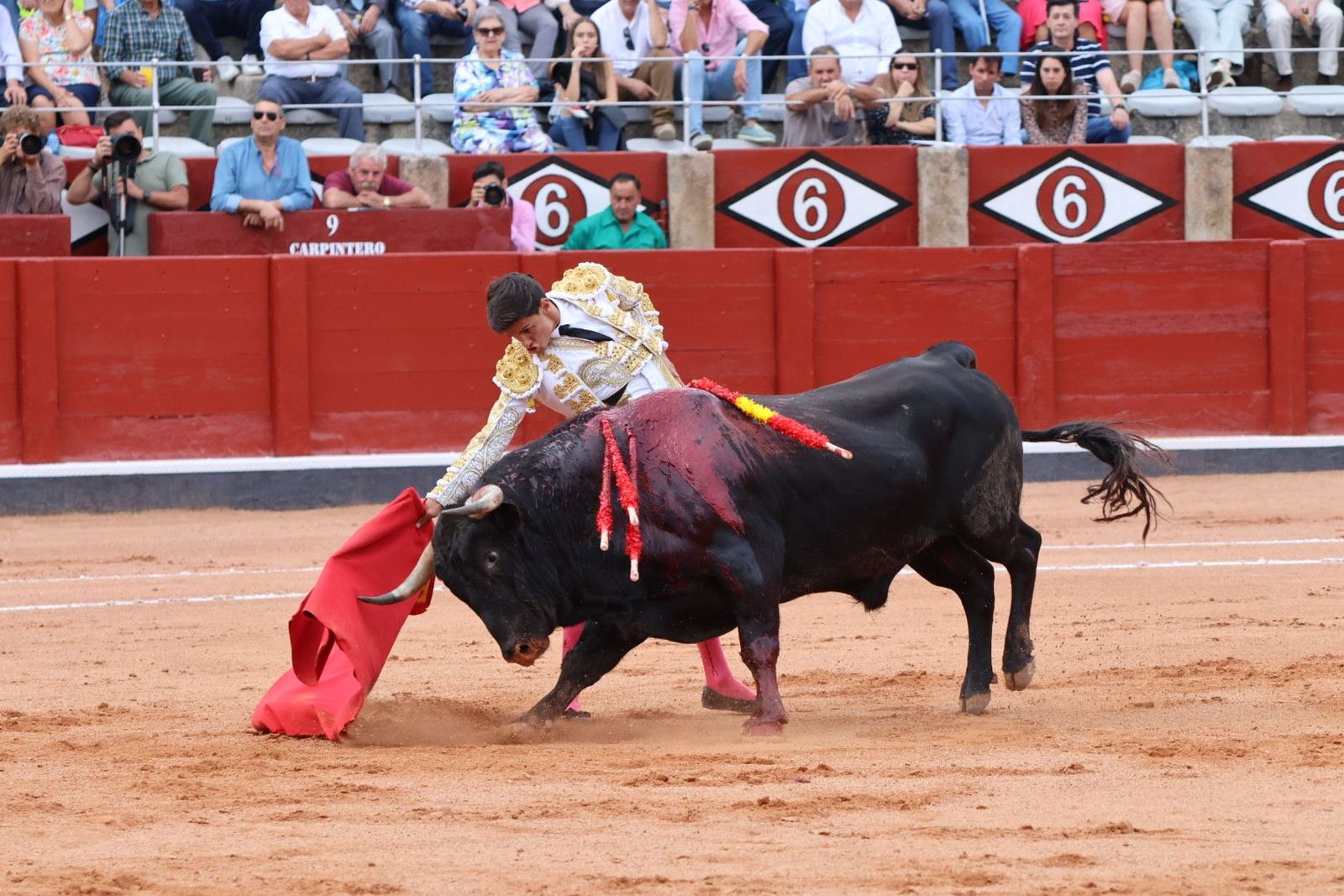 20230910180607-img-2038