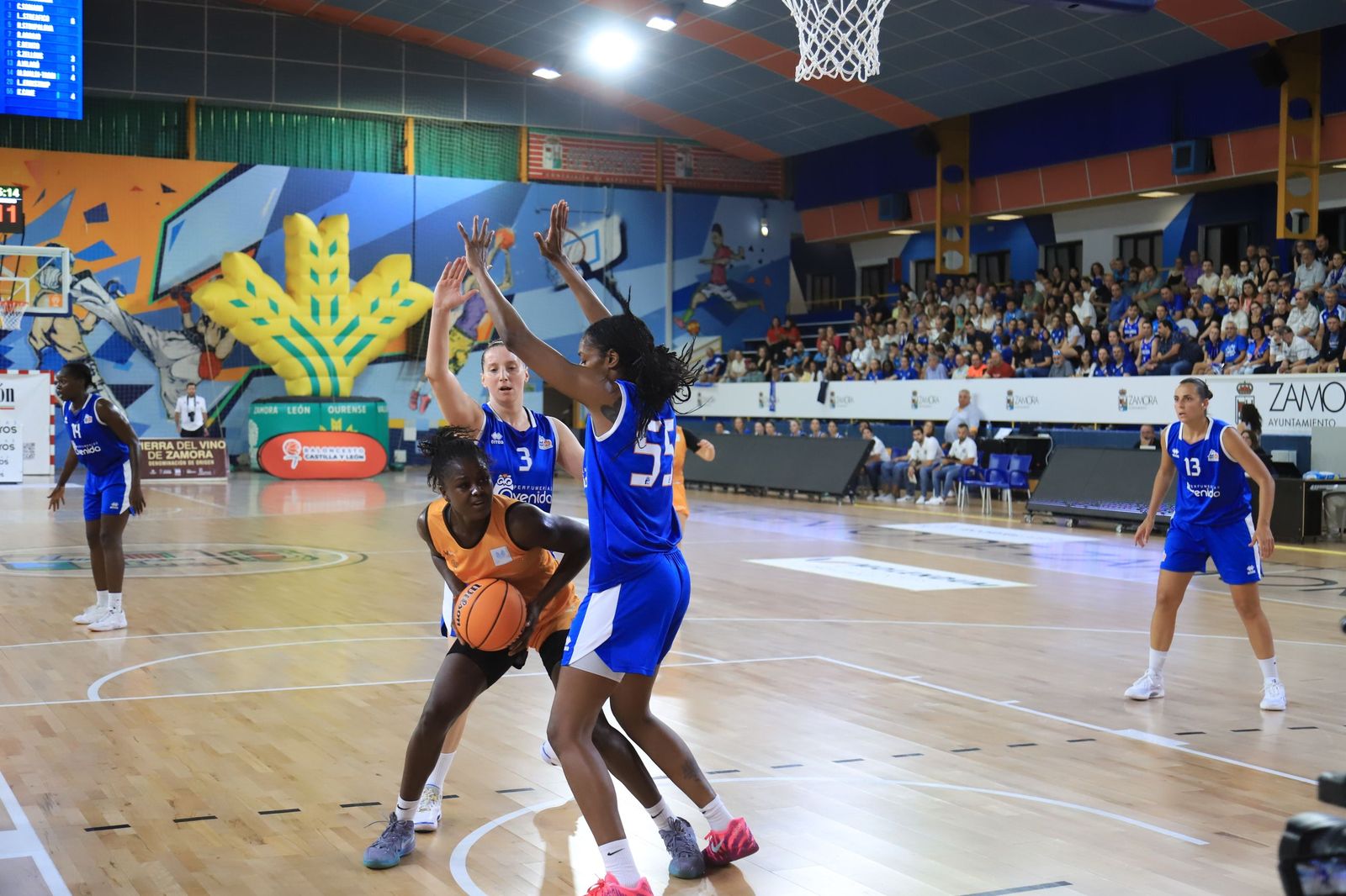 Copa Baloncesto Castilla y León: Zamarat-Avenida