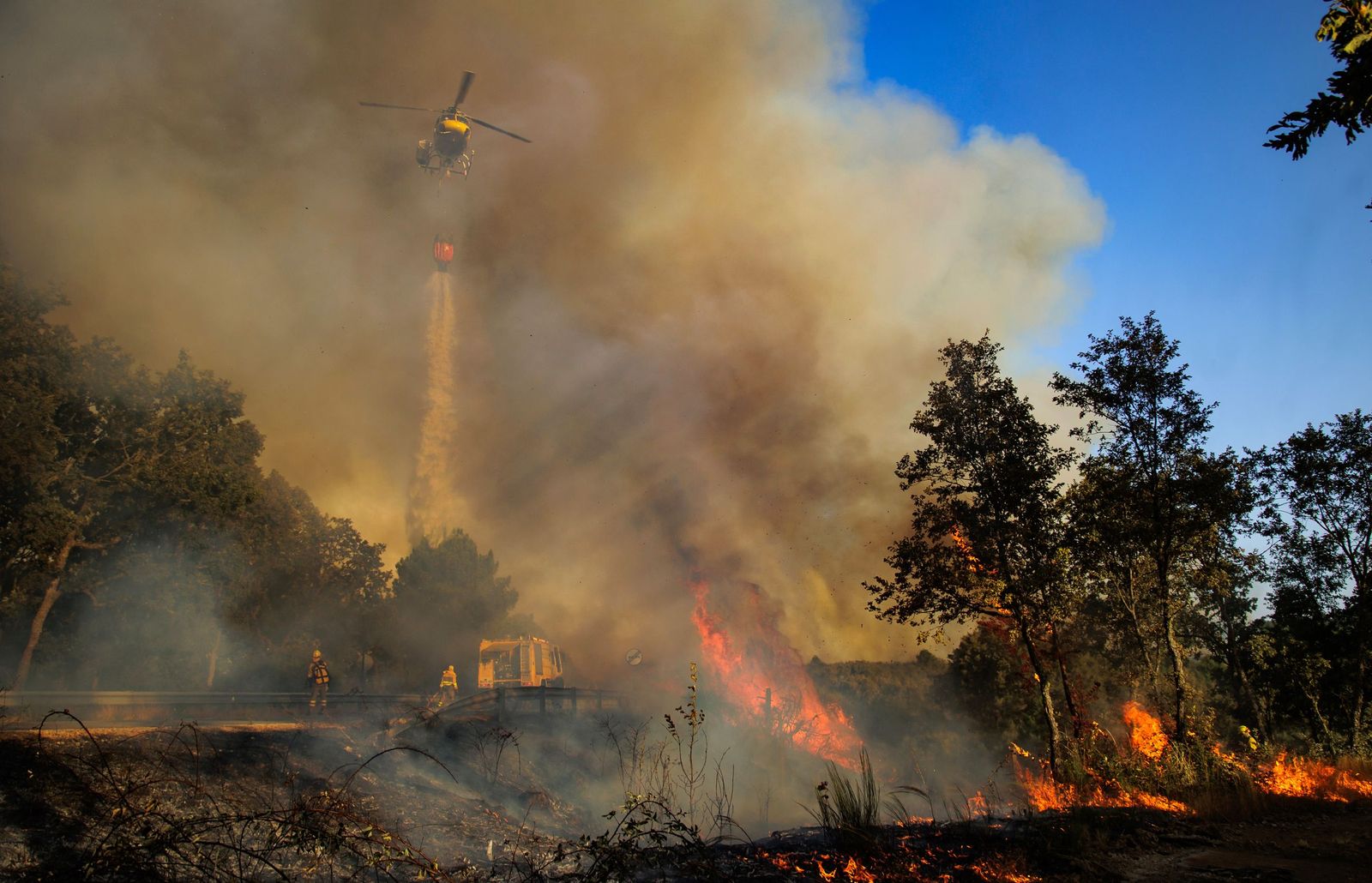 Incendio forestal en El Payo, ICAL José Vicente (10).jpg