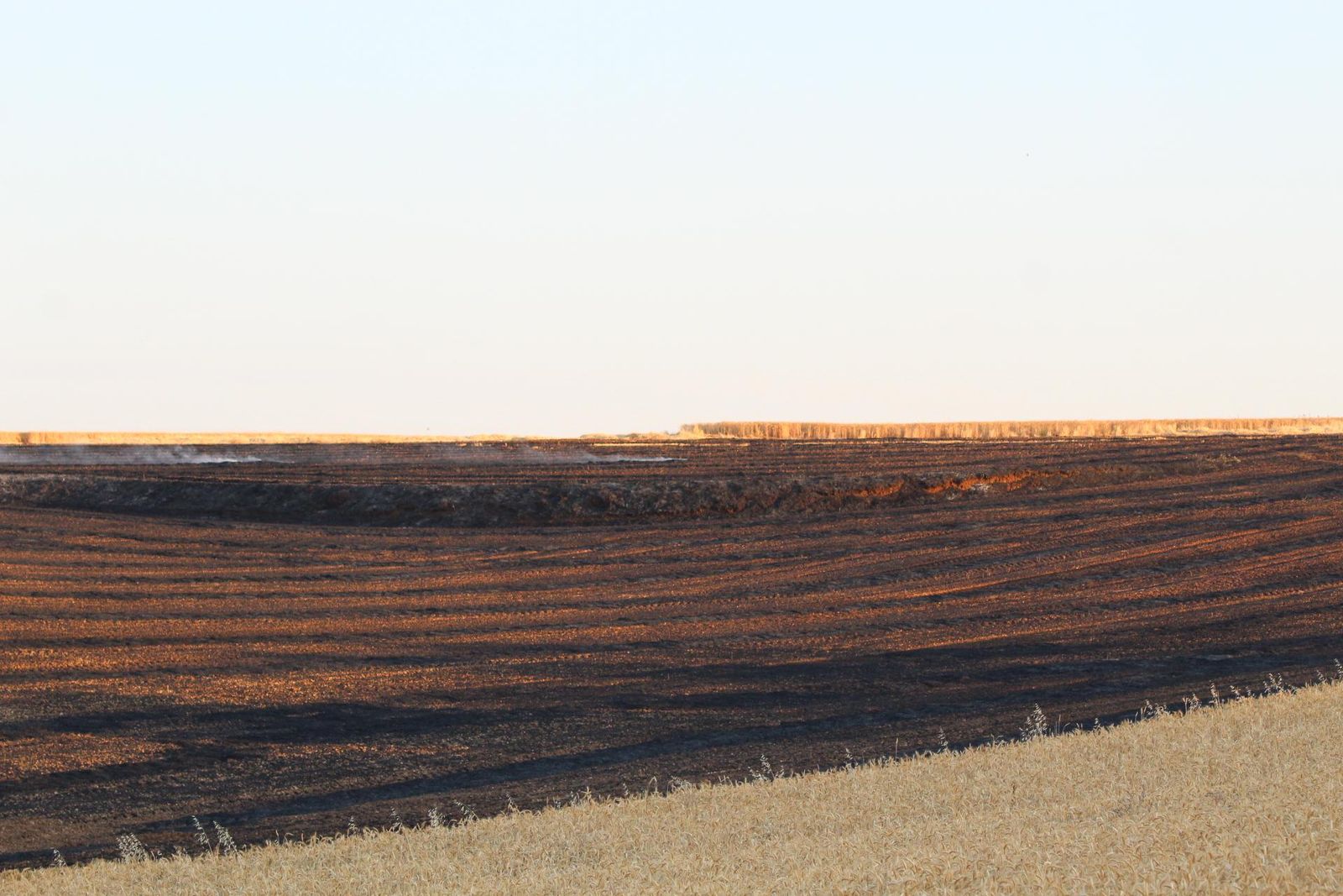 Incendio junto al polígono de los Villares, 13 de julio de 2025