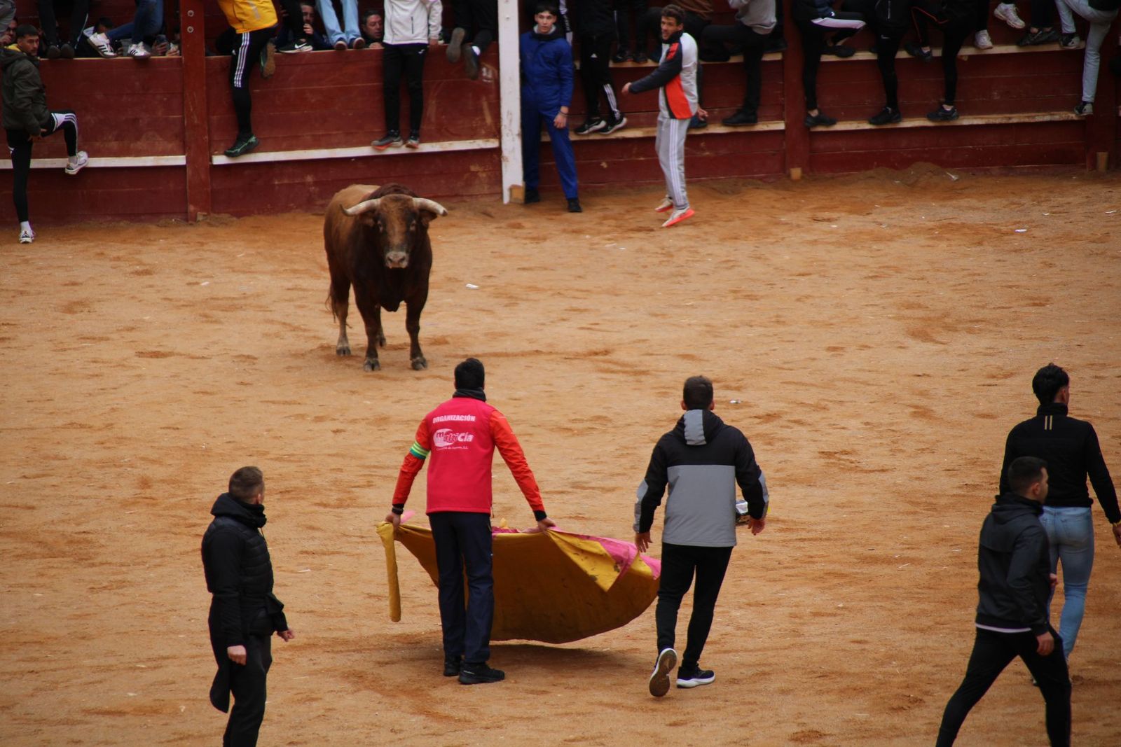 whatsapp-image-2025-03-01-at-13-18-34-1