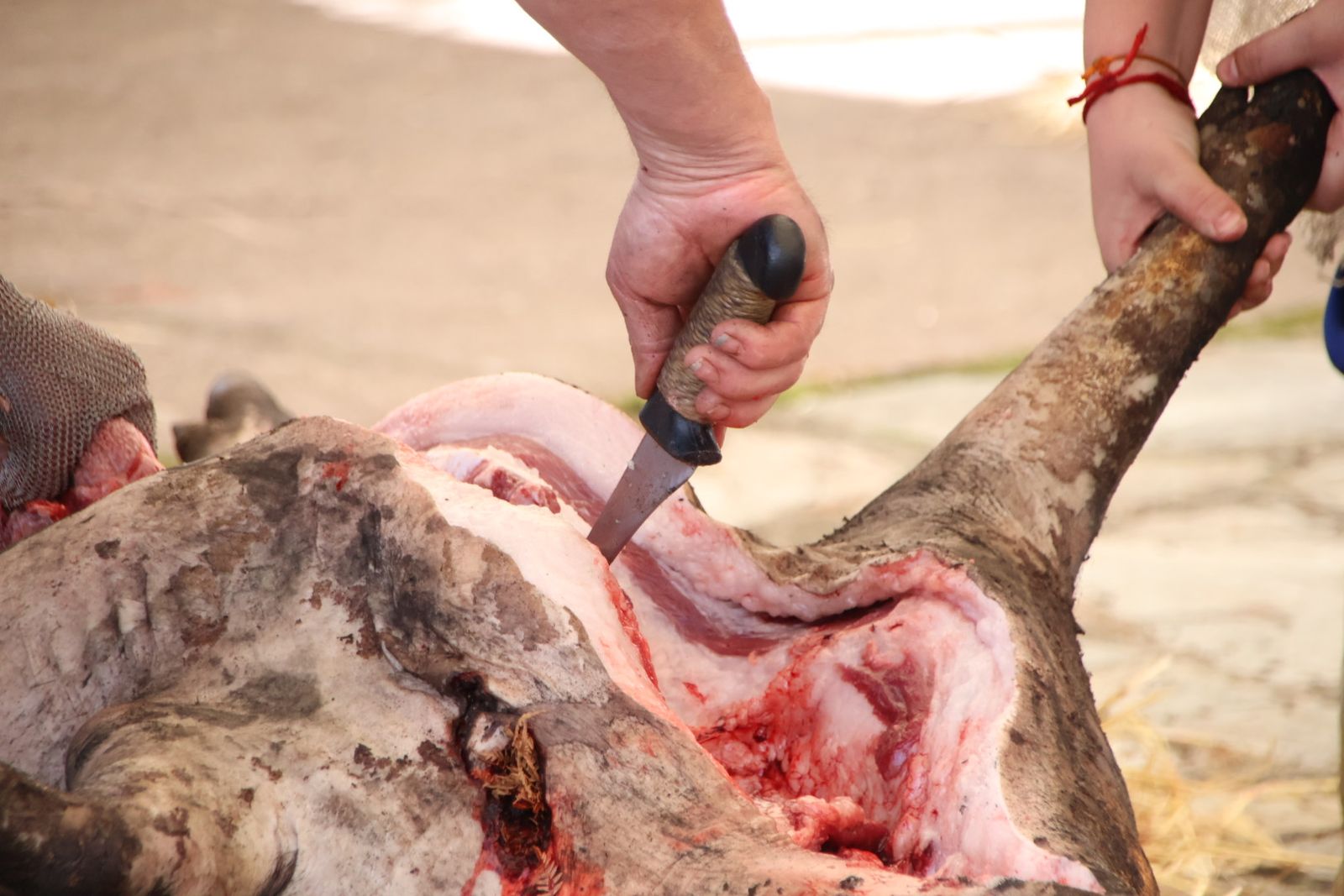 Guijuelo Matanza Típica