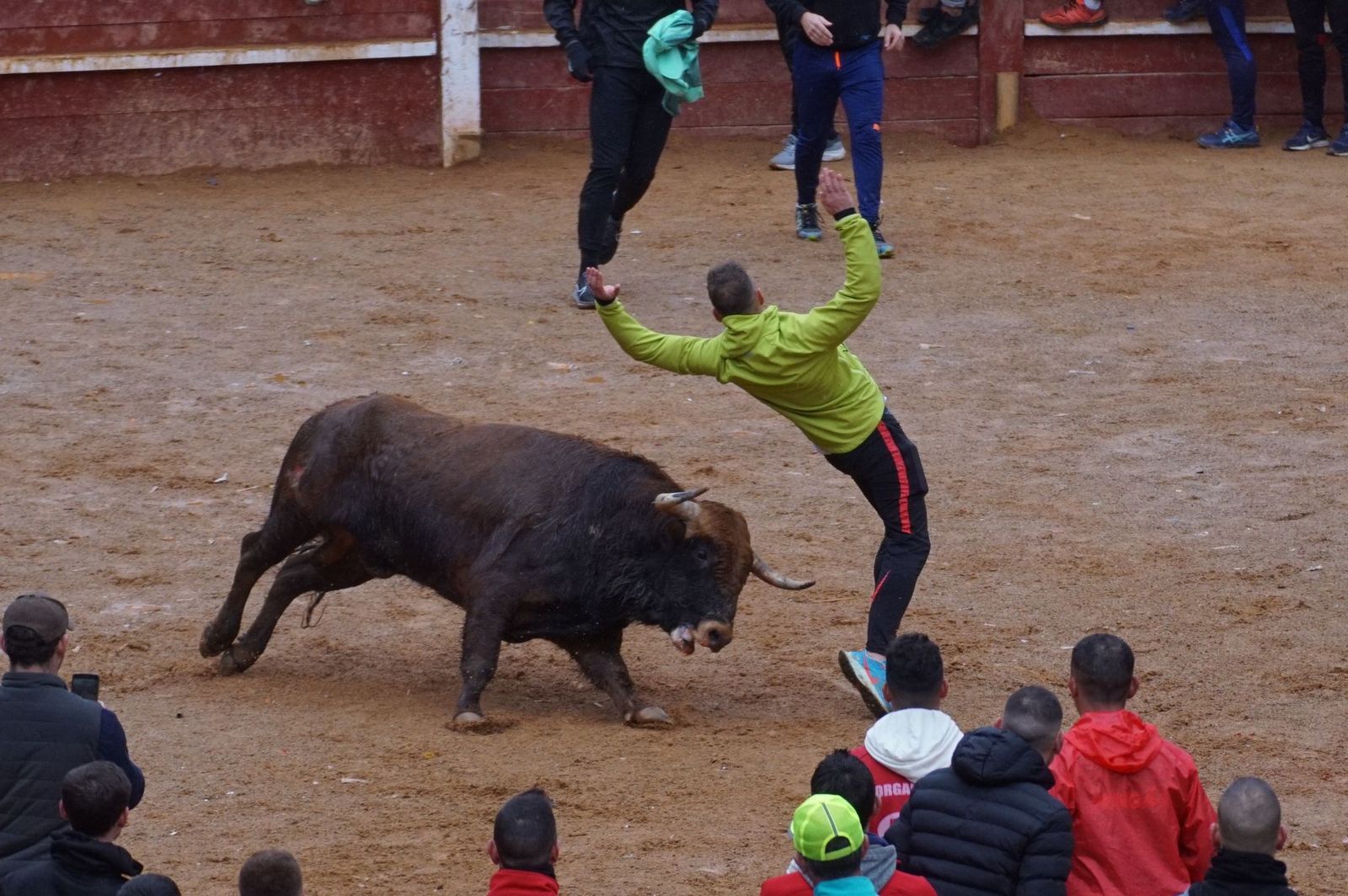 whatsapp-image-2024-02-11-at-14-01-51