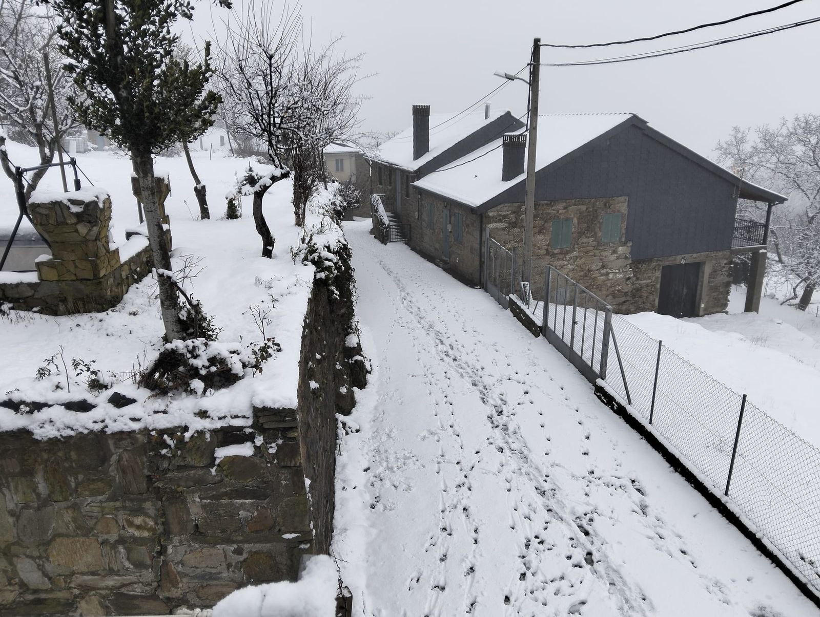 Nieve en Sanabria