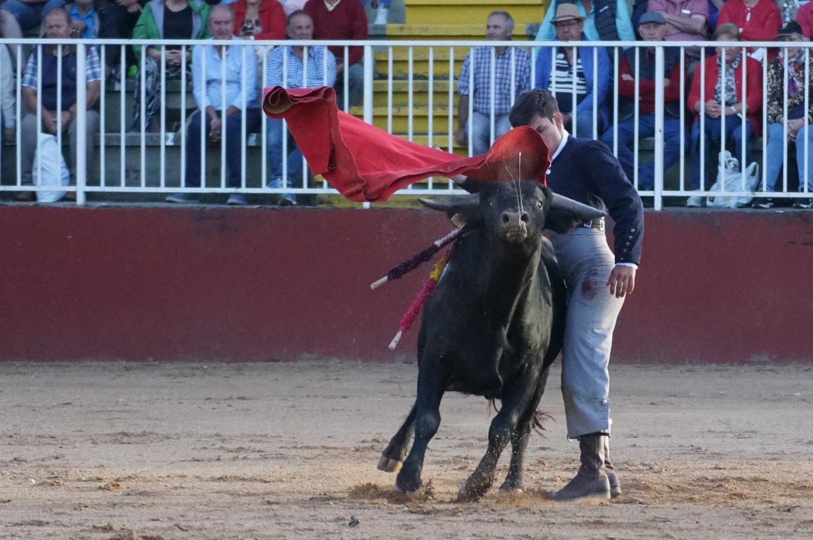 whatsapp-image-2024-09-06-at-20-54-08-2