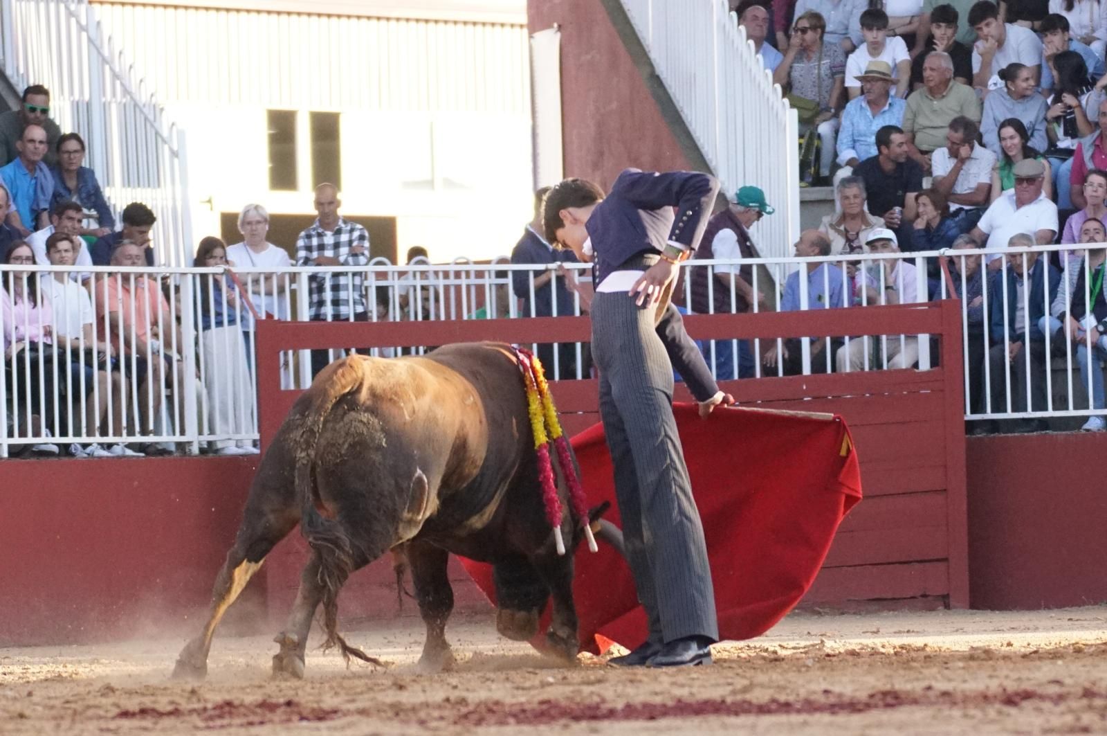 whatsapp-image-2024-09-07-at-20-49-11-4