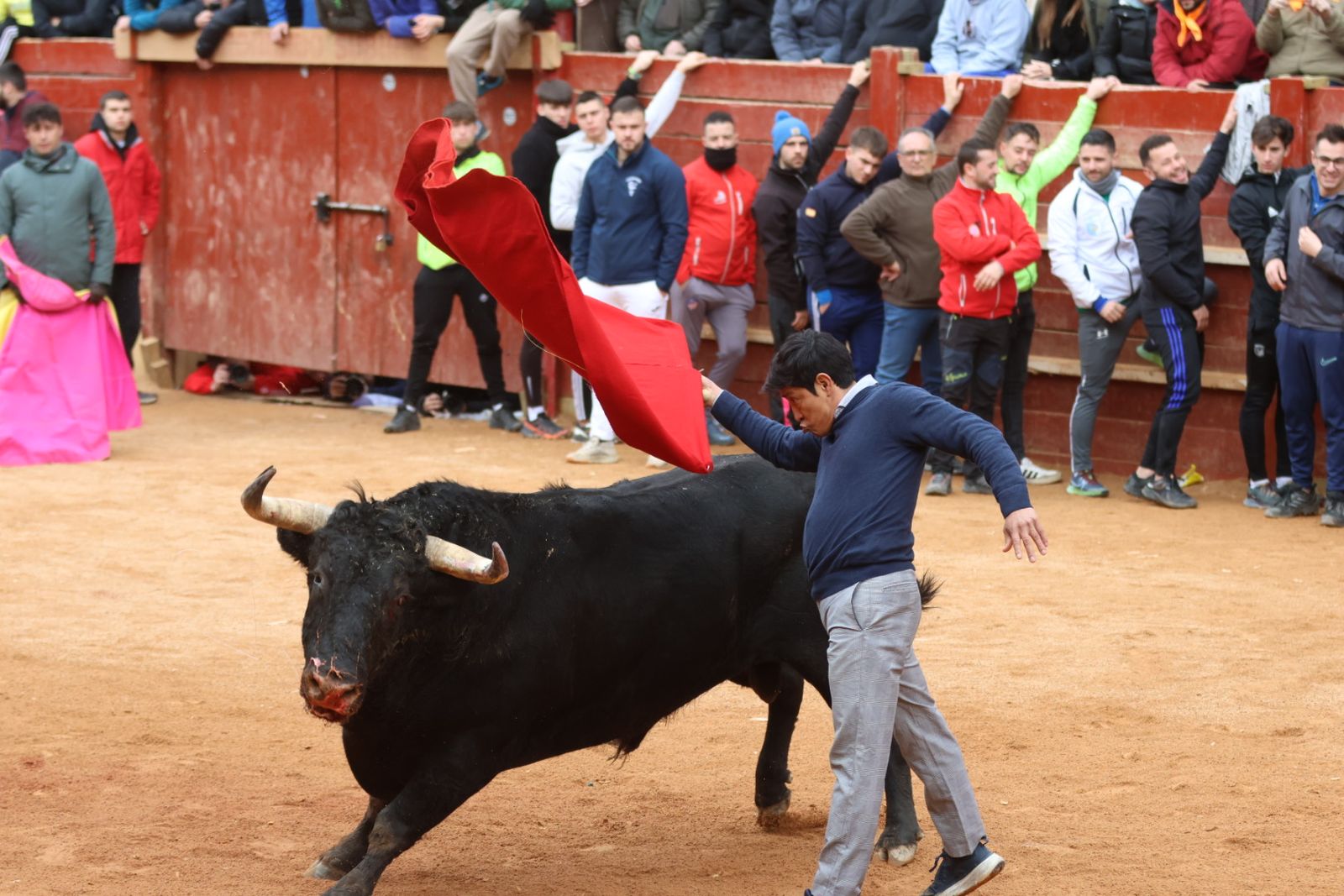 Mañana de capea de lunes en el Carnaval del Toro 2026