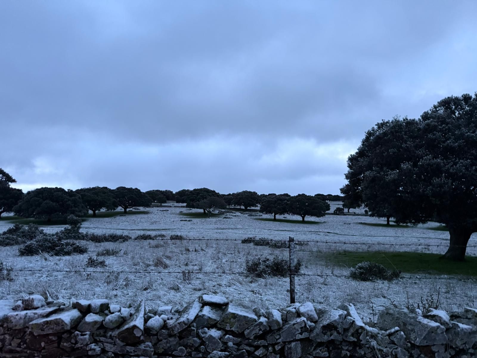 Comienzan a caer los primeros copos. Cuatro calzadas y monterrubio de la sierra