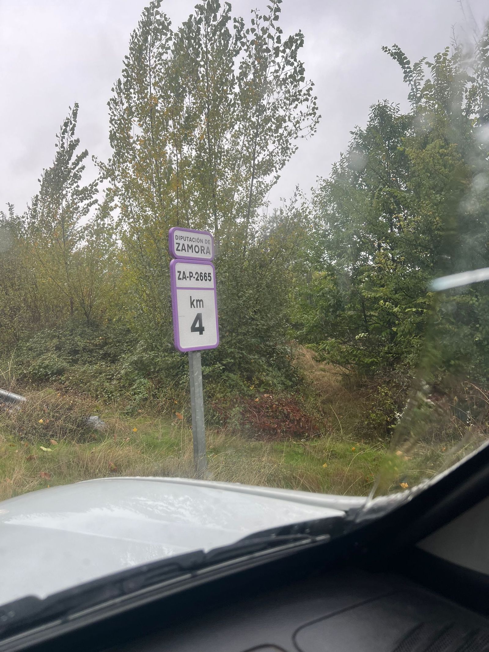 imagen-de-whatsapp-2024-10-09-a-las-11-48-55-799af516