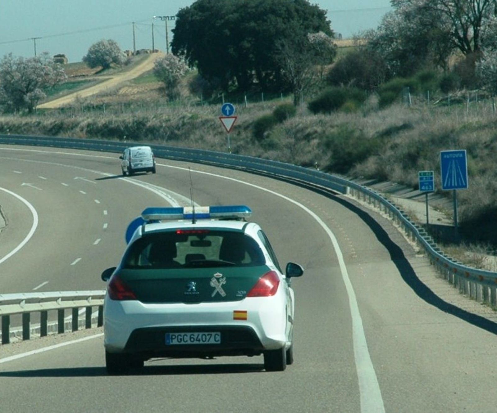 WhatsApp Image 2020 08 07 at 12.29.23