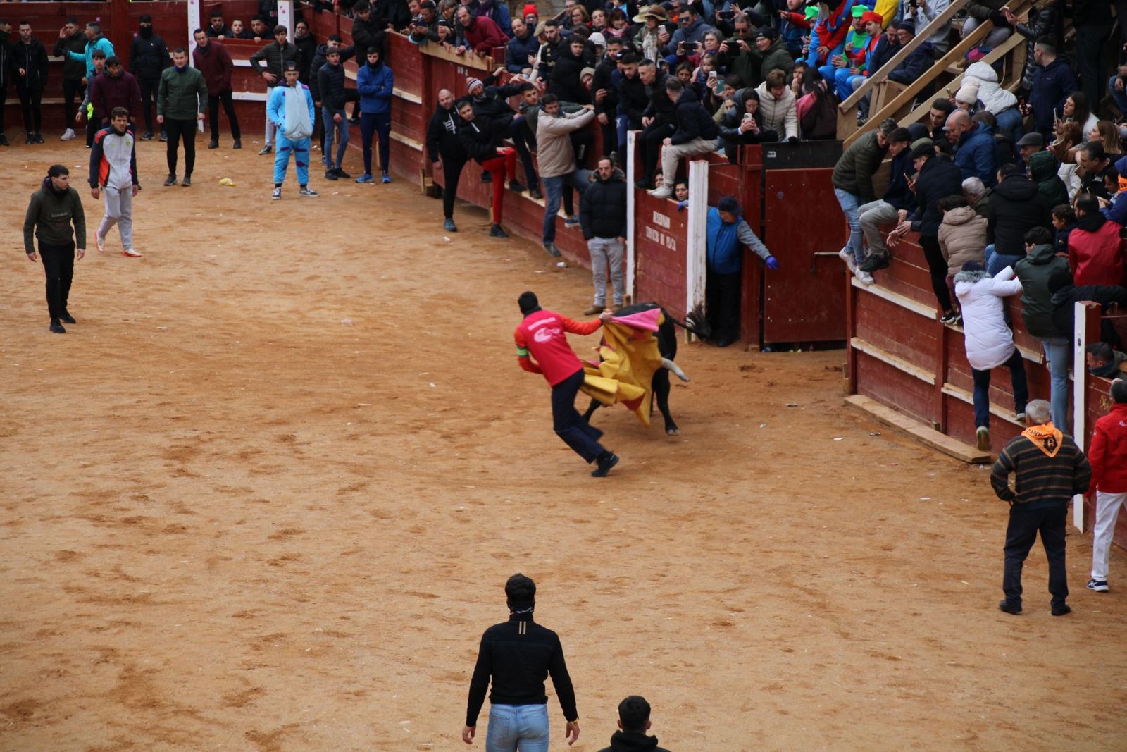 whatsapp-image-2025-03-01-at-13-18-38-3