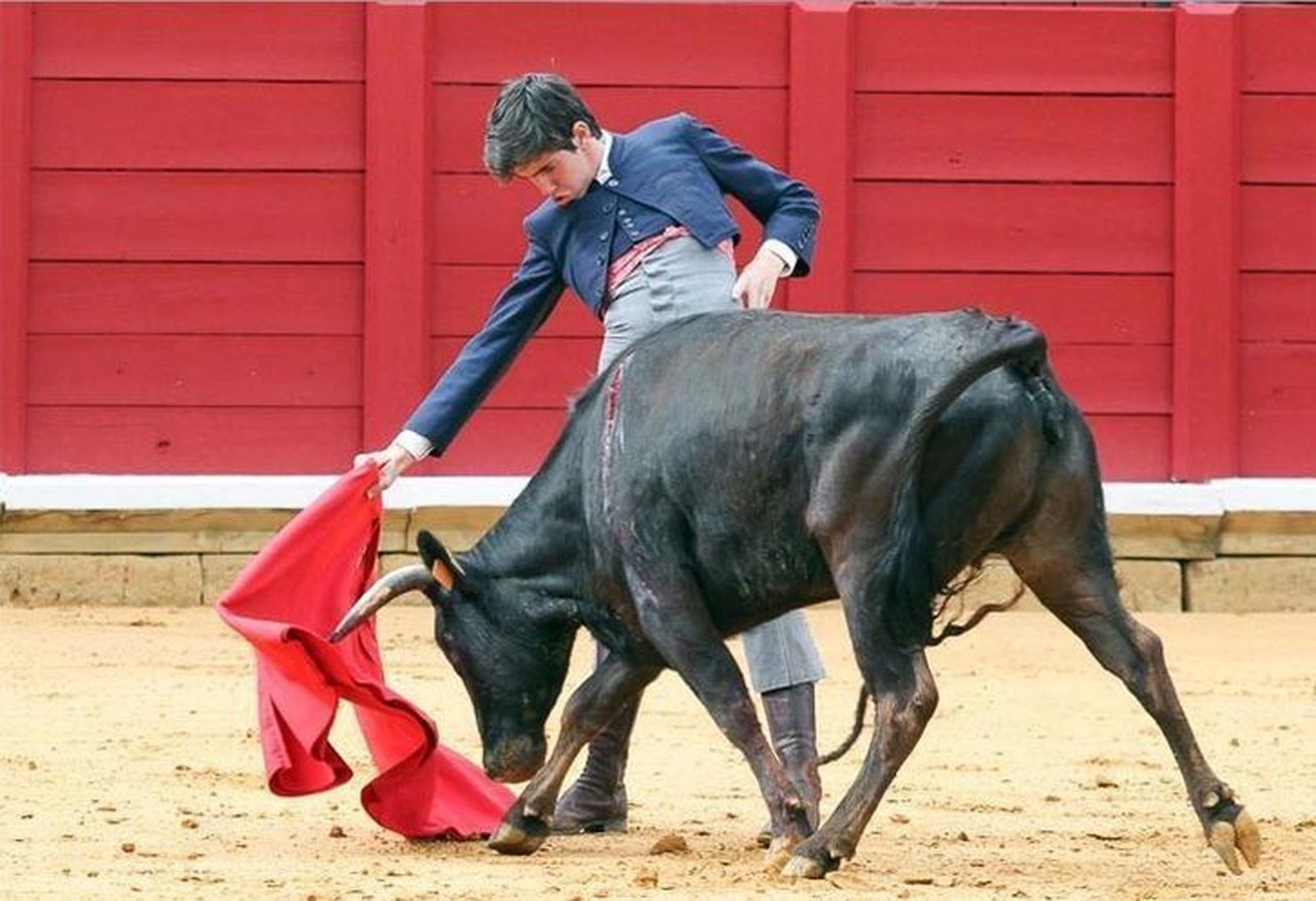Treinta novilleros participarán en el Bolsín Tierras de Zamora 2017