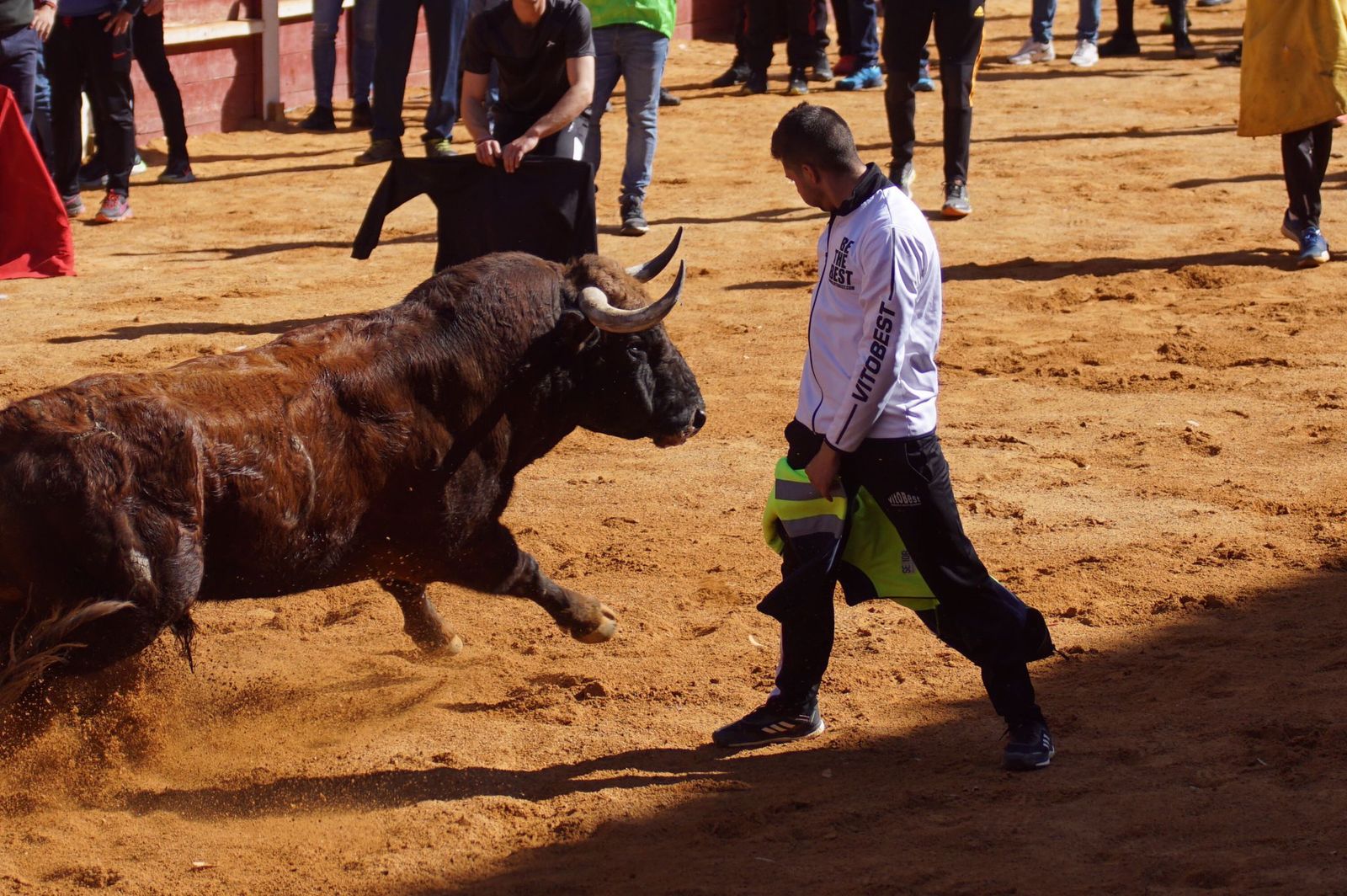 encierro-capea-y-ambiente-en-ciudad-rodrigo-en-este-lunes-de-carnaval-20