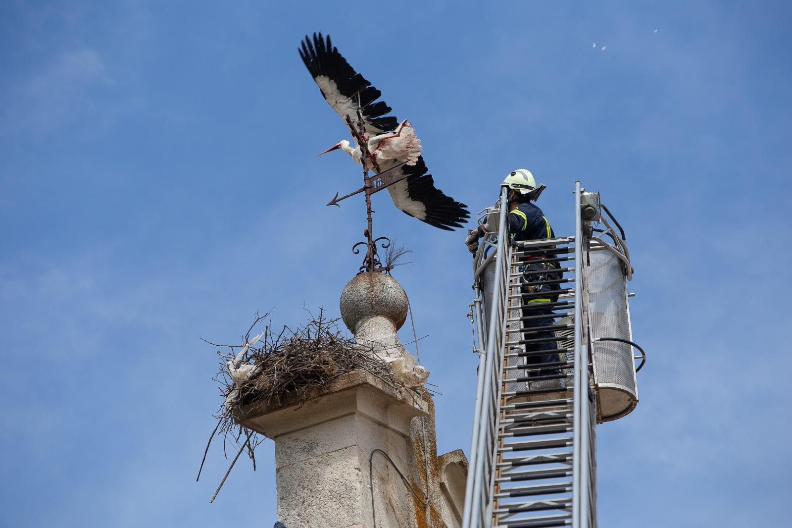 WhatsApp Image 2020 05 01 at 14.15.12