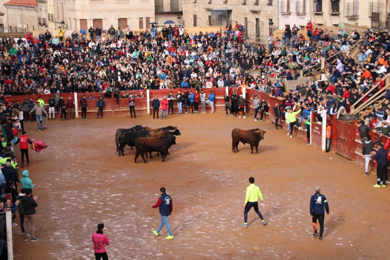 encierro-del-martes-de-carnaval-en-ciudad-rodrigo-26