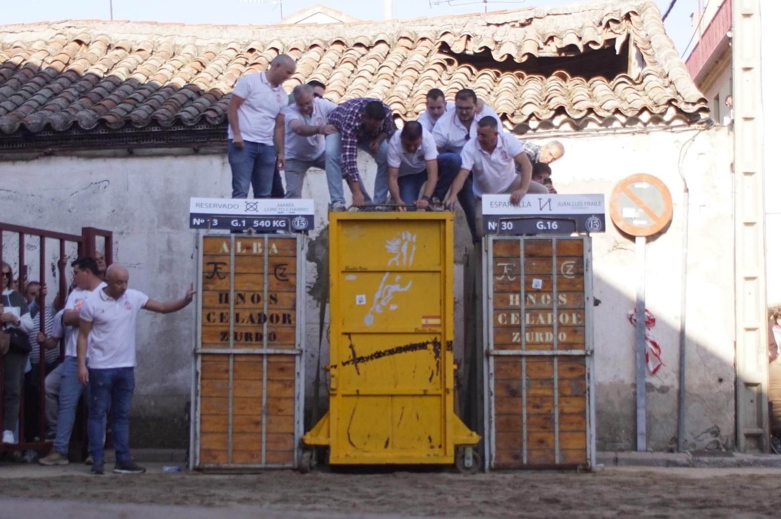 Toro del cajón y capea en Alba de Tormes