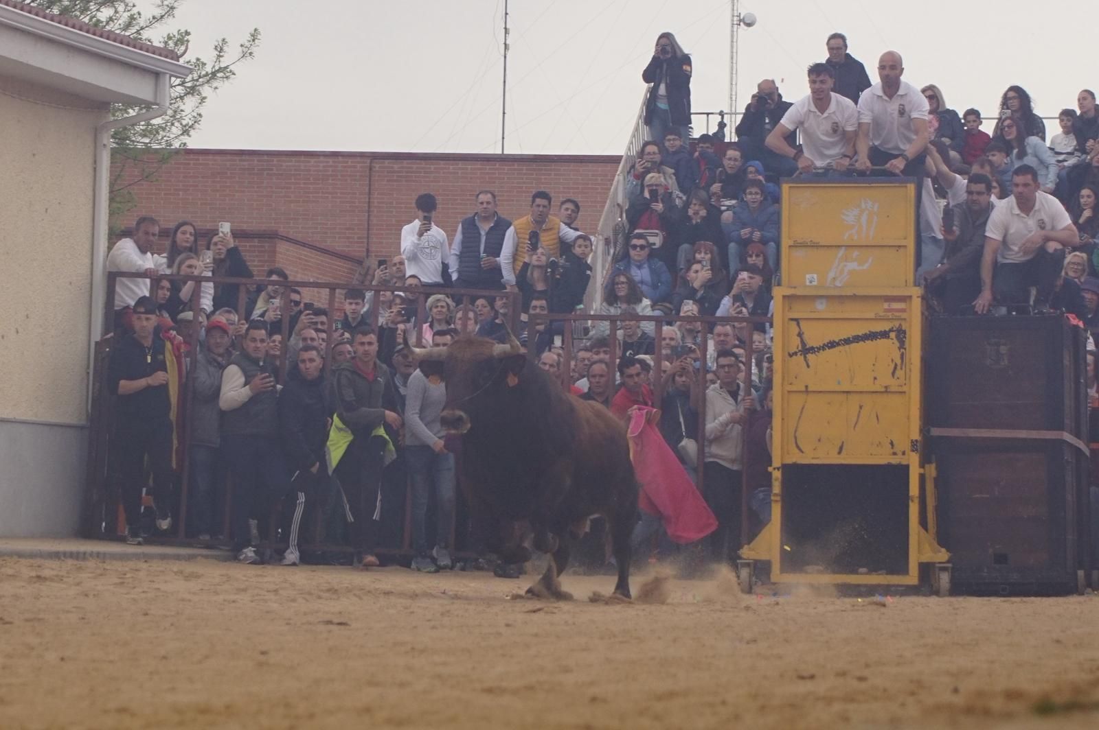 Villoria, toro del Voto