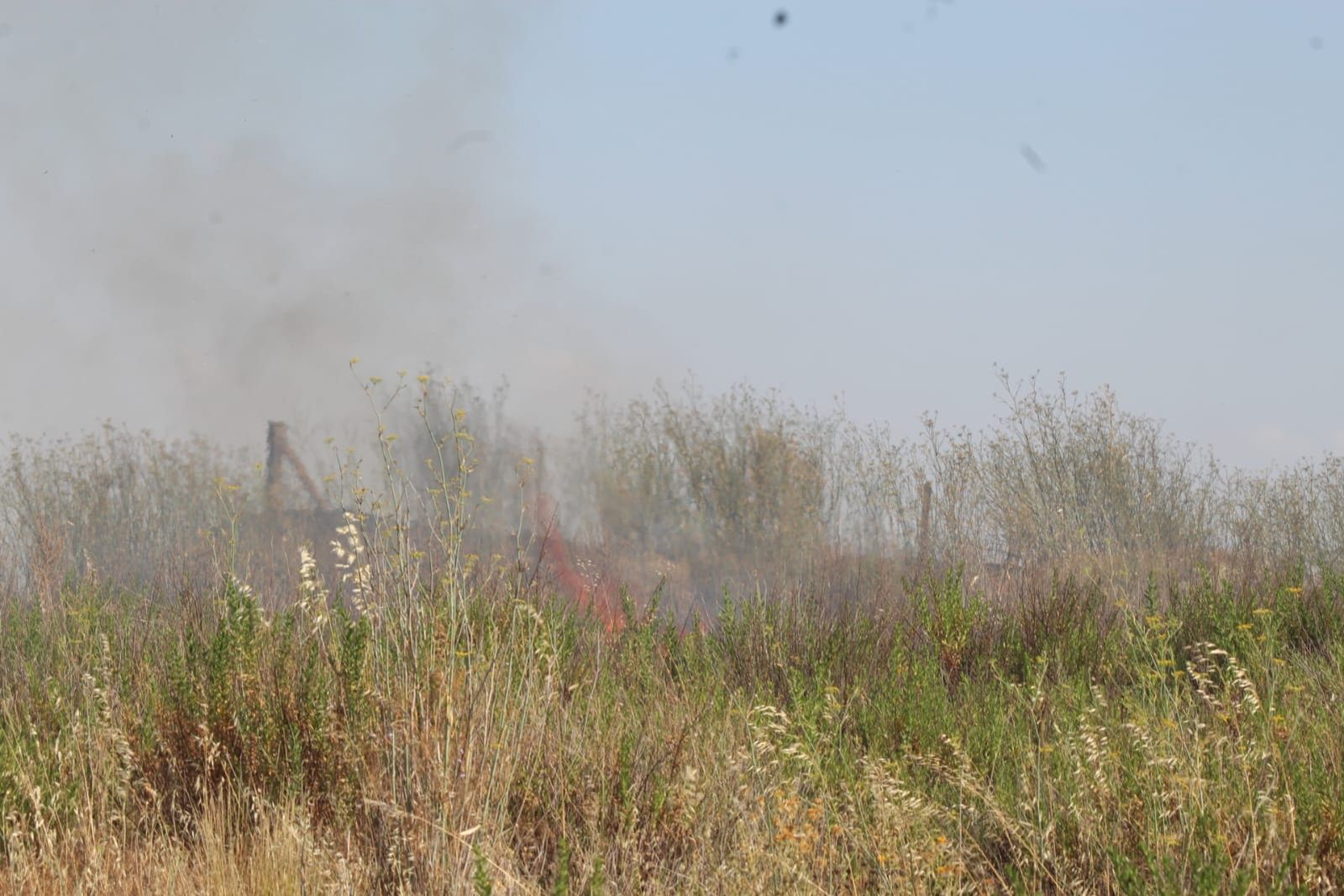 incendio-de-pasto-en-la-zona-del-marin-fotos-carlos-h-6