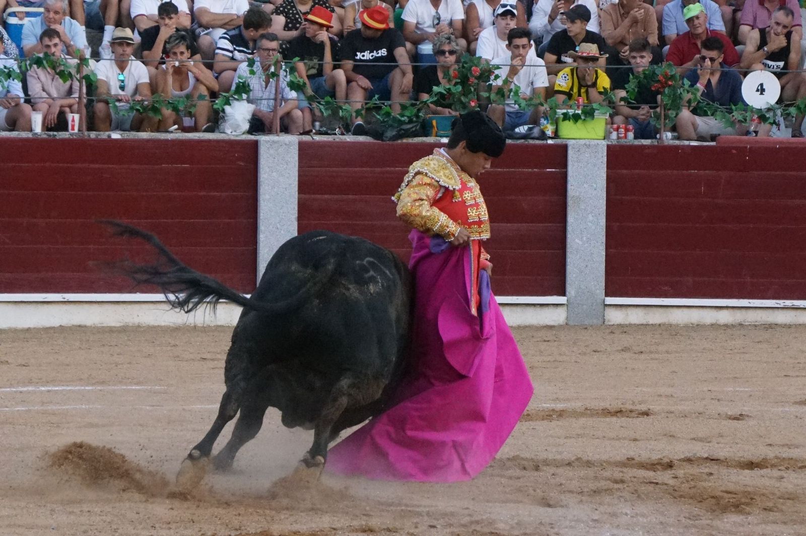 corrida-rejones-guijuelo-33