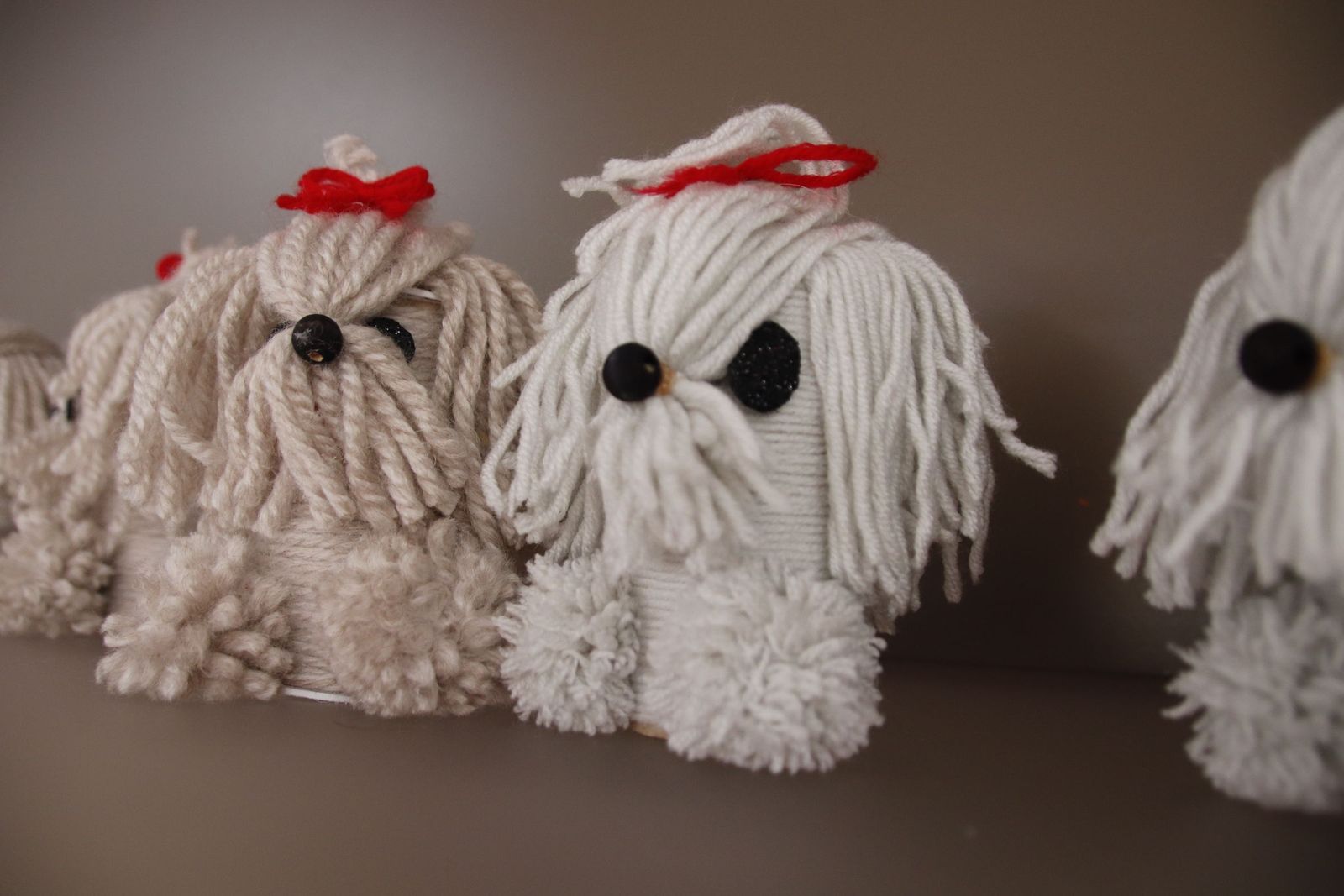 20230215104020-mg-6272