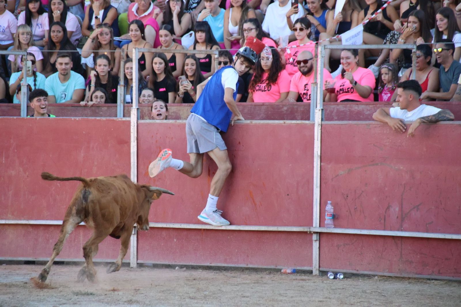 20240816185524-img-3980