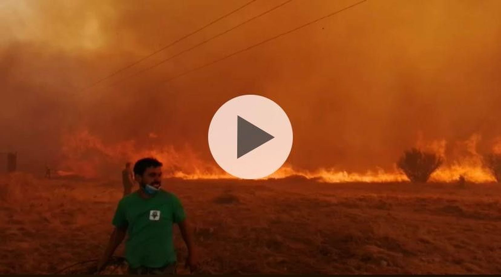 WhatsApp Image 2020 08 15 at 19.41.11