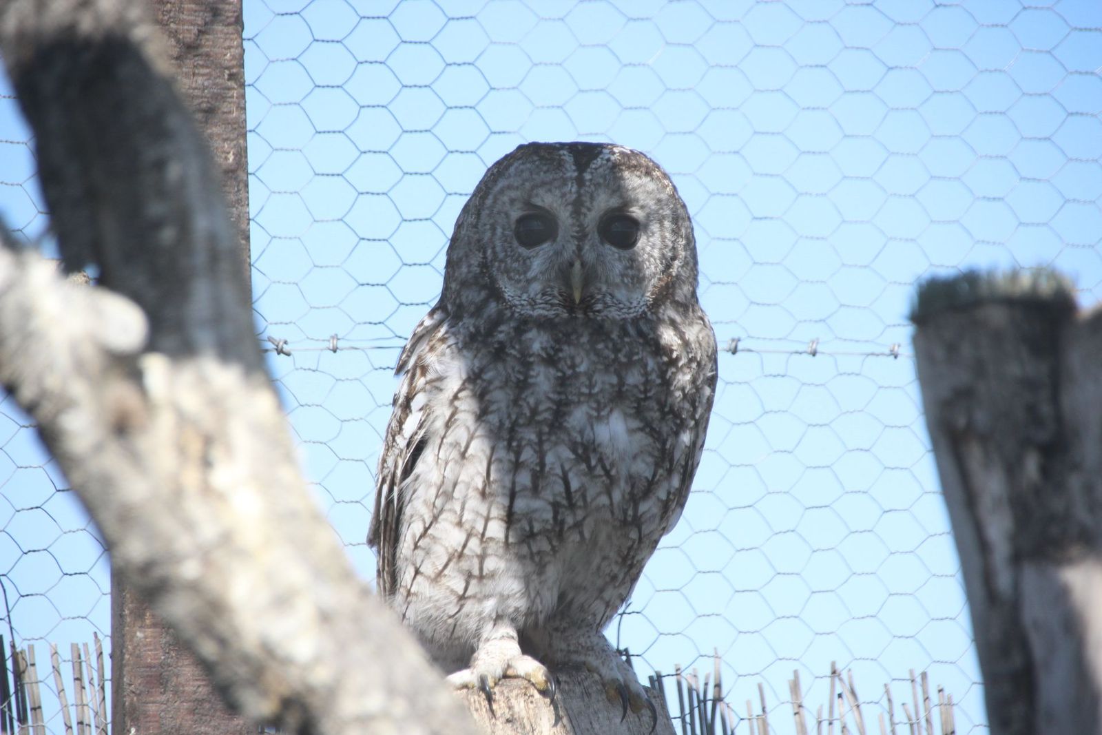 20230304152950-img-1691